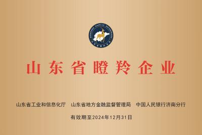 熱烈慶祝自動(dòng)纏繞包裝機(jī)廠家深藍(lán)機(jī)器榮獲山東省瞪羚企業(yè)榮譽(yù)