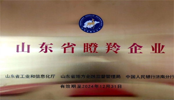 慶祝深藍(lán)機(jī)器榮獲山東省2021年度“瞪羚企業(yè)”榮譽(yù)稱(chēng)號(hào)